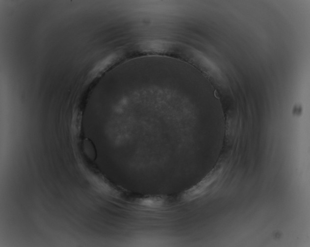 X0000102480168200808081313