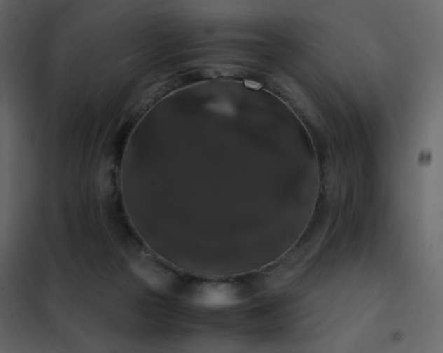 X0000102480169200808081313