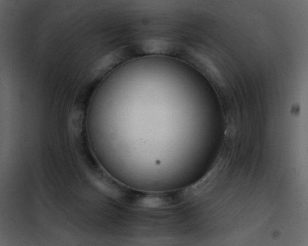 X0000102480171200808081313