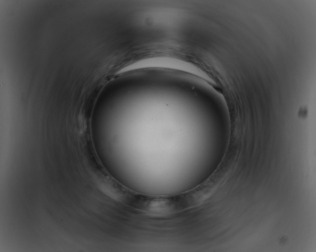 X0000102480173200808081314