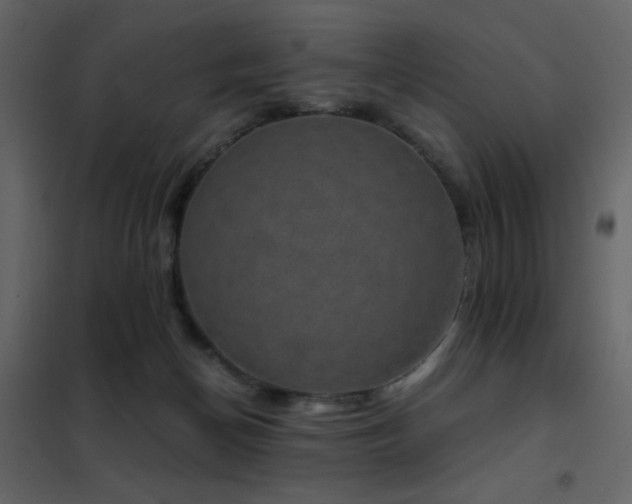 X0000102480174200808081314