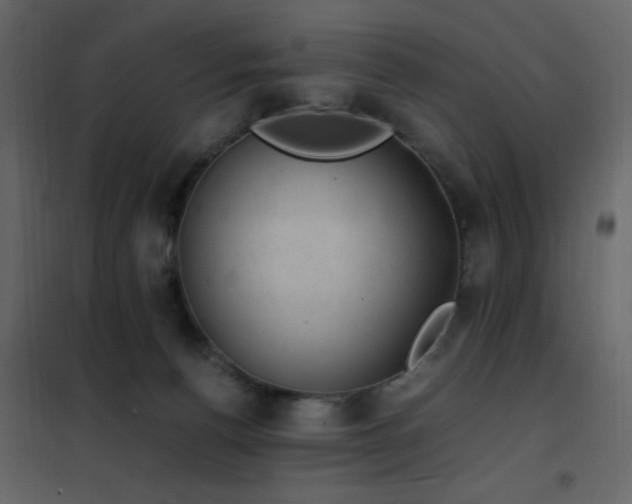 X0000102480176200808081314