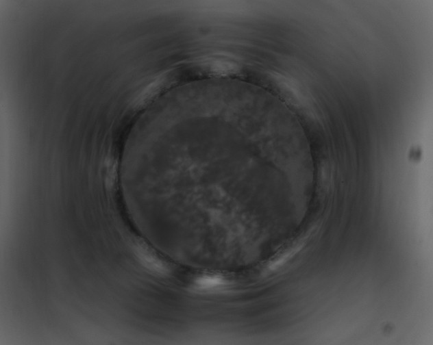 X0000102480177200808081314