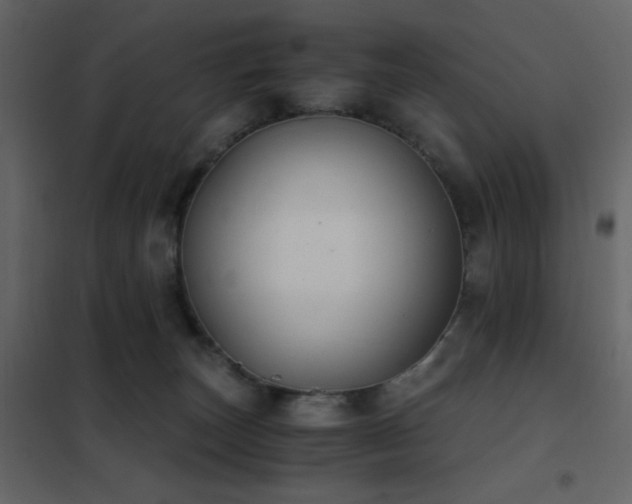 X0000102480179200808081314