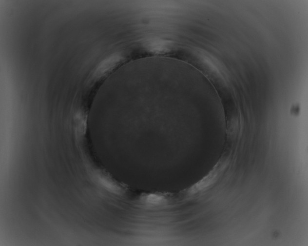 X0000102480180200808081314