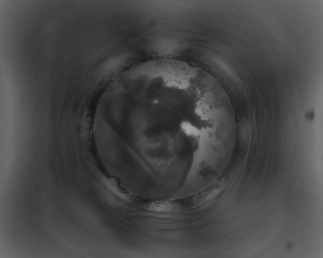 X0000102480181200808081314