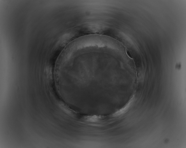 X0000102480182200808081314