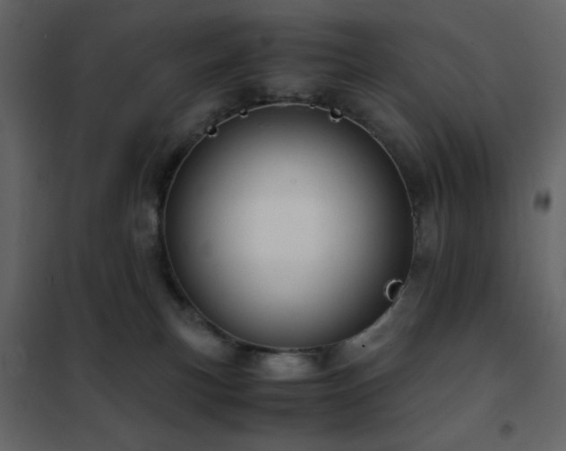 X0000102480183200808081314