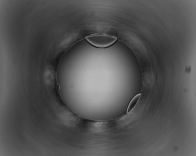 X0000102480184200808081314