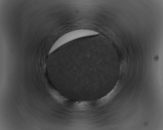 X0000102480186200808081314