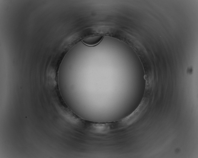 X0000102480187200808081314