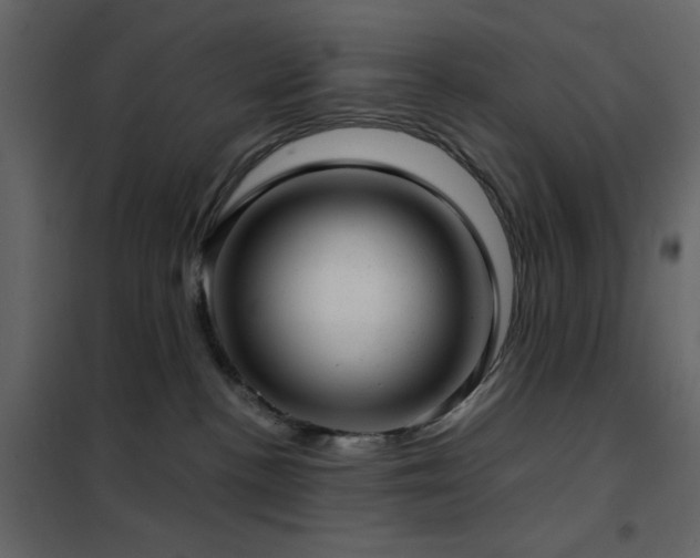 X0000102480188200808081314