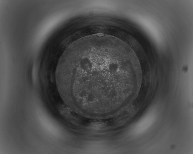 X0000102480189200808081314