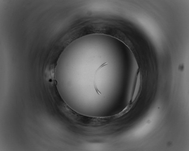 X0000102480190200808081314