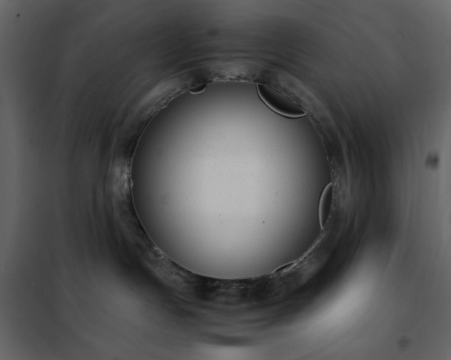 X0000102480191200808081314