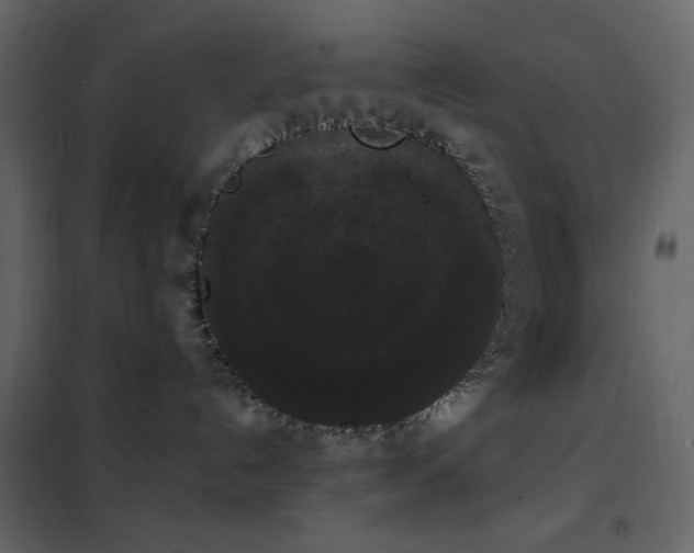 X0000102480192200808081314