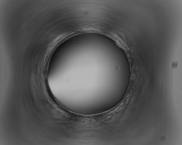 X0000102480193200808081313