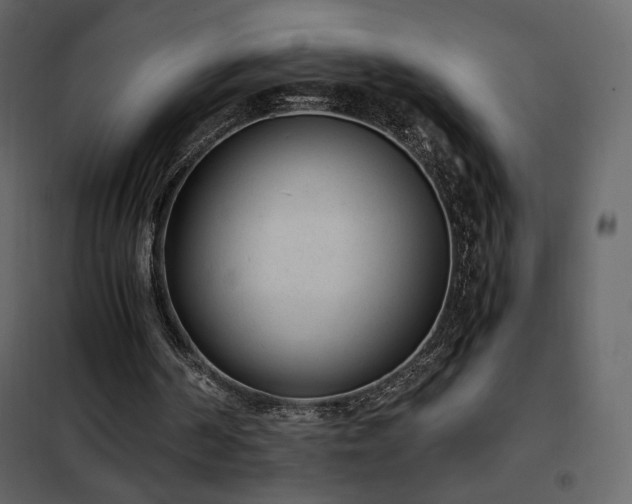 X0000102480194200808081313