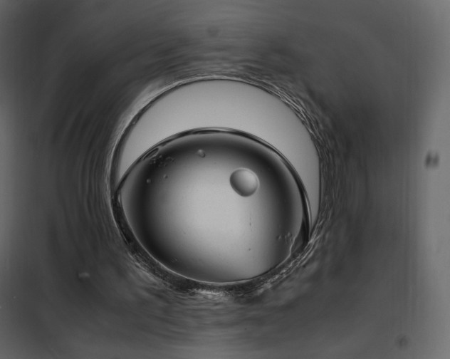 X0000102480195200808081313