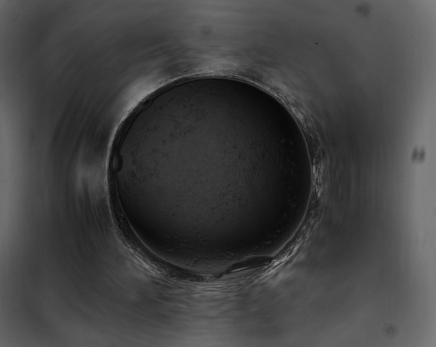 X0000102480196200808081313