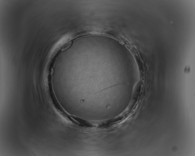 X0000102480197200808081313