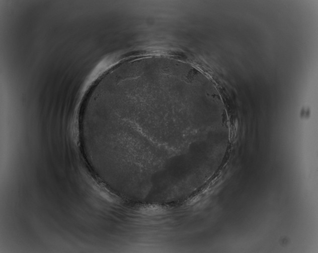 X0000102480198200808081313