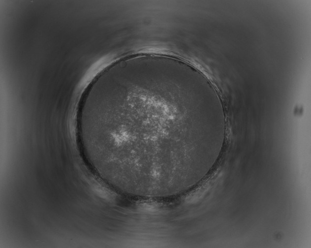 X0000102480199200808081313