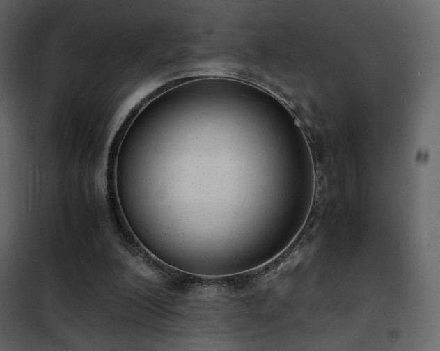 X0000102480200200808081313