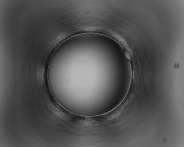 X0000102480201200808081313