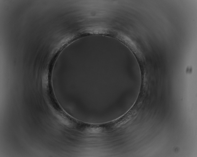 X0000102480202200808081313