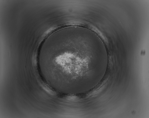 X0000102480203200808081313