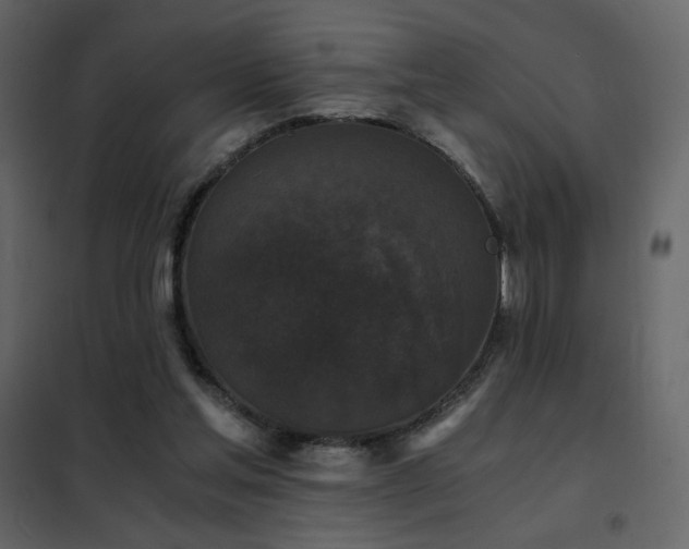 X0000102480205200808081313