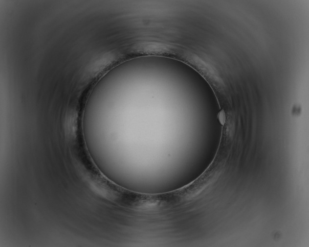 X0000102480206200808081313