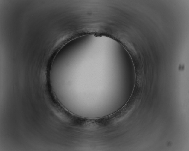 X0000102480207200808081313