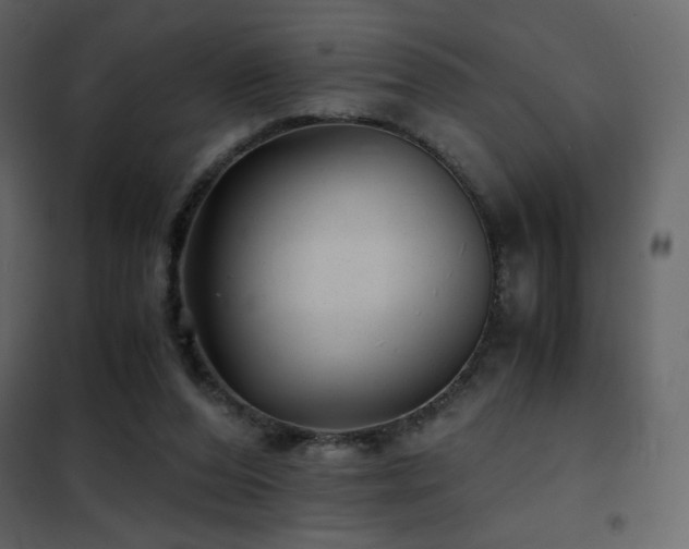 X0000102480208200808081313