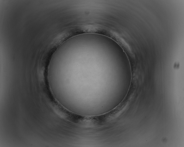 X0000102480209200808081313