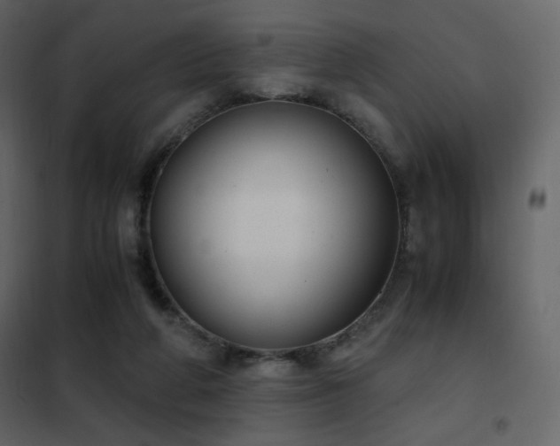 X0000102480210200808081313