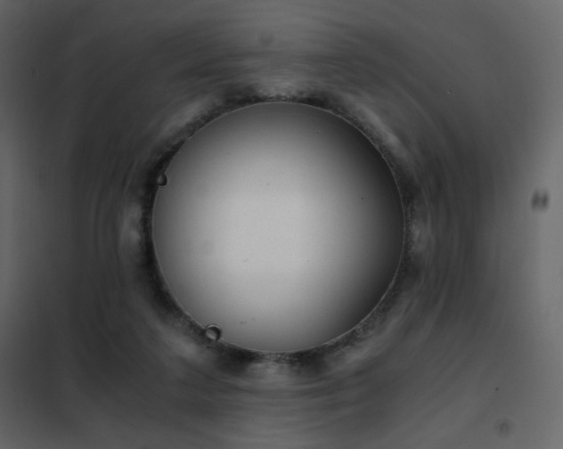 X0000102480211200808081313