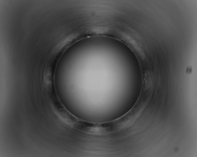 X0000102480212200808081313