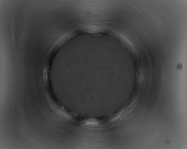 X0000102480214200808081313