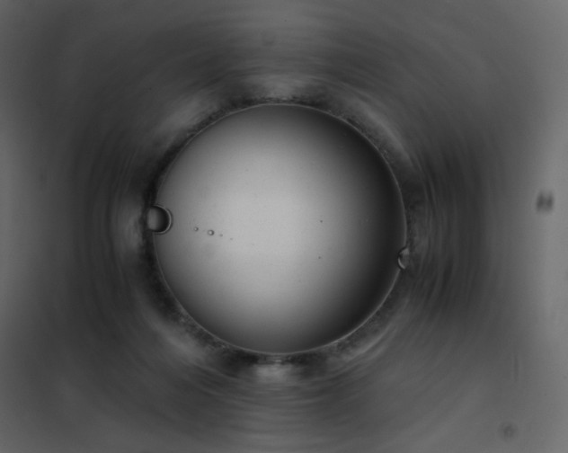 X0000102480216200808081313