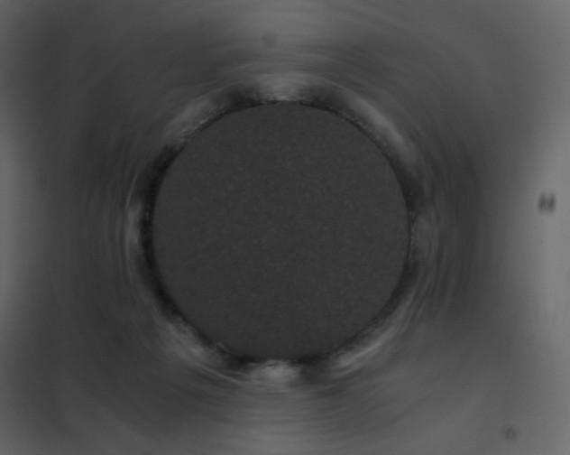 X0000102480217200808081313