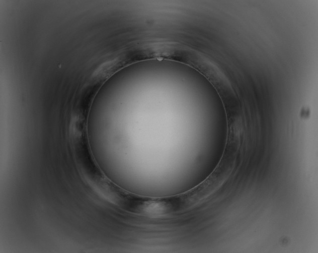 X0000102480218200808081313