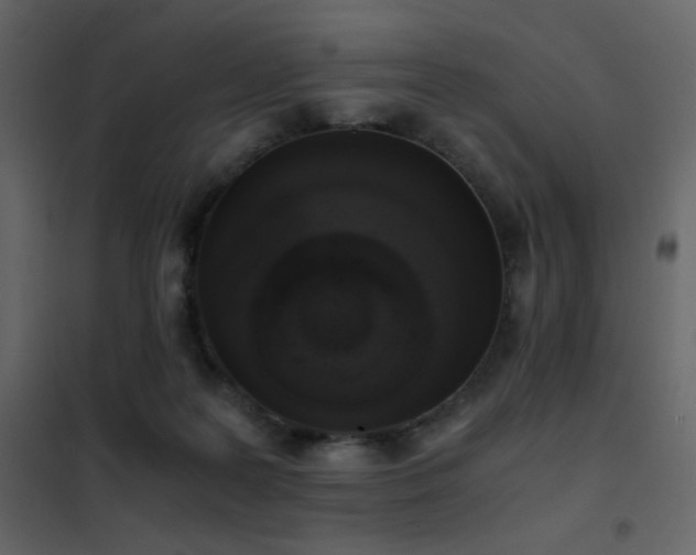 X0000102480219200808081313