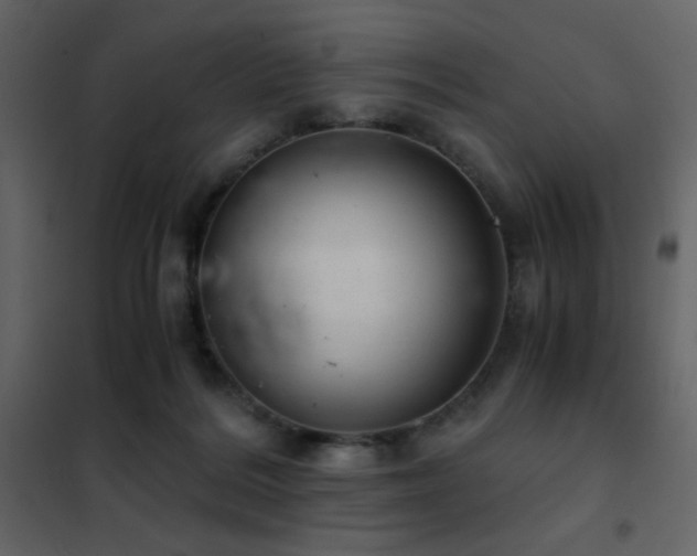 X0000102480220200808081313