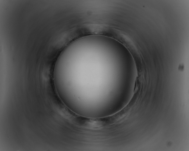 X0000102480221200808081313