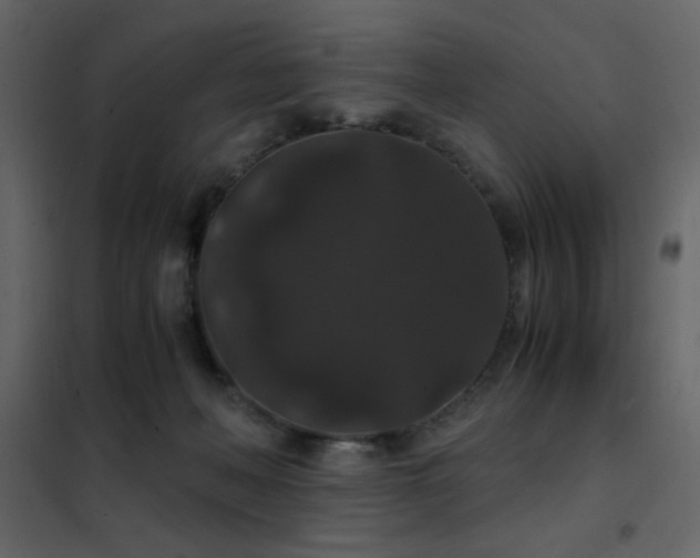 X0000102480222200808081313