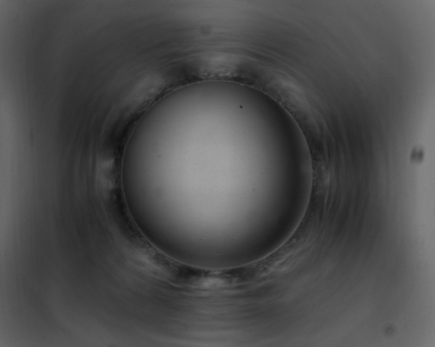 X0000102480224200808081313