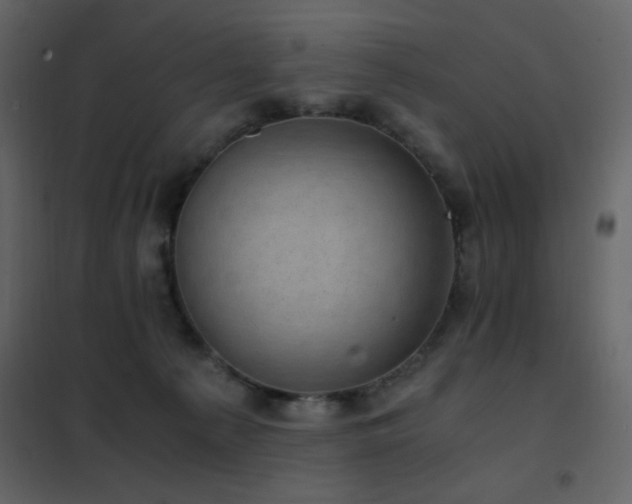 X0000102480225200808081313