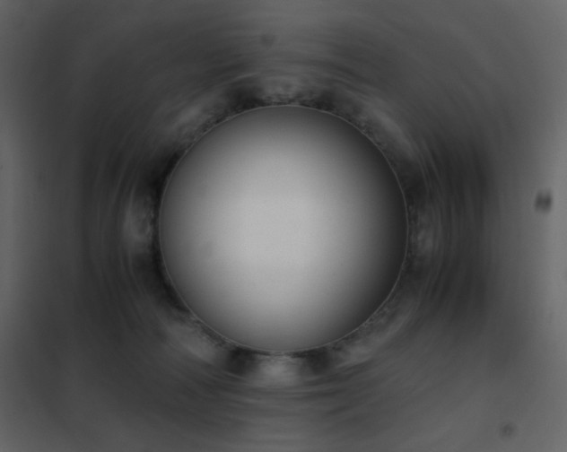 X0000102480226200808081313